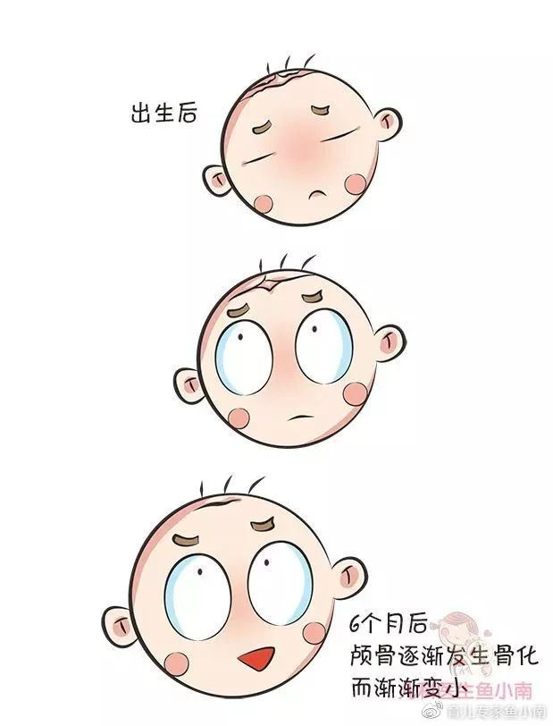 宝宝囟门大或小，闭合早或晚会影响大脑发育？了解囟门知识很重要