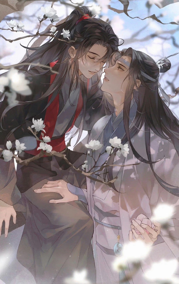 蓝忘机魏无羡天生一对呀老师太会画了画师狸半仙儿