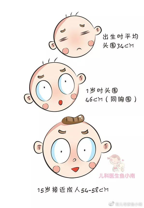 宝宝囟门大或小，闭合早或晚会影响大脑发育？了解囟门知识很重要