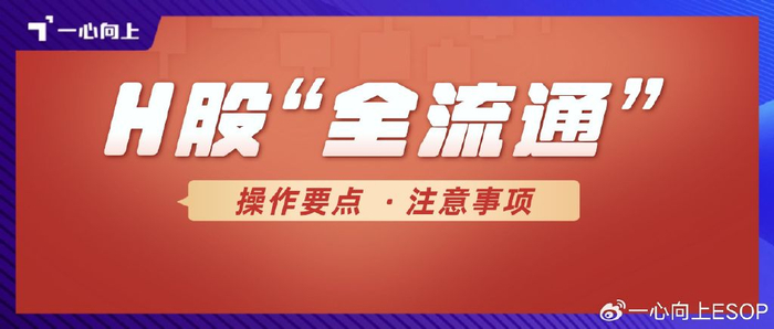 香港公司股权转让_H股全流通是什么意义_H股全流通操作要点及注意事项