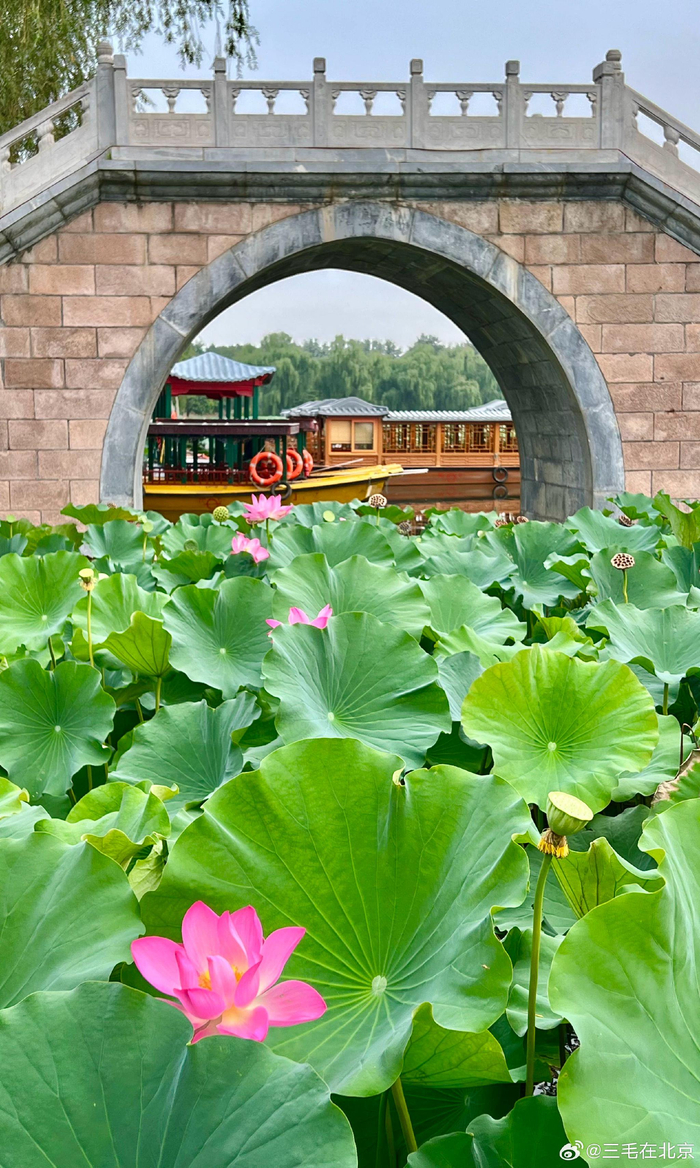 北京圆明园遗址公园秋色美摄影