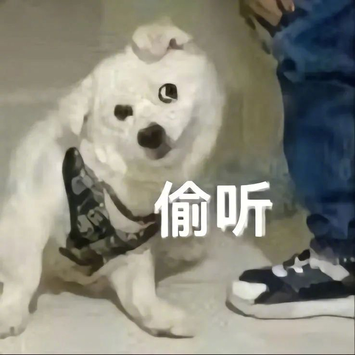 沙雕表情包来助兴!