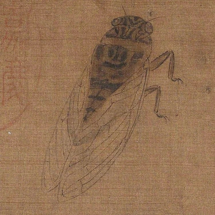 赏画 | 五代 黄筌《写生珍禽图》