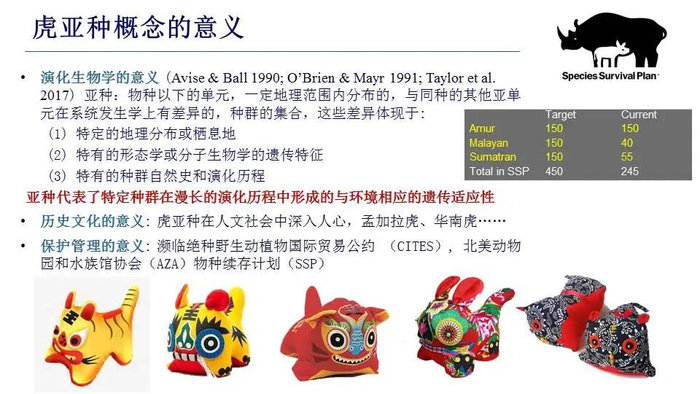 我收集了全世界老虎的基因,为华南虎理清了家谱