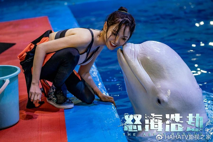 《怒海浩劫》上映,硬核救援极限逃生,李岷城林妍柔智斗海怪