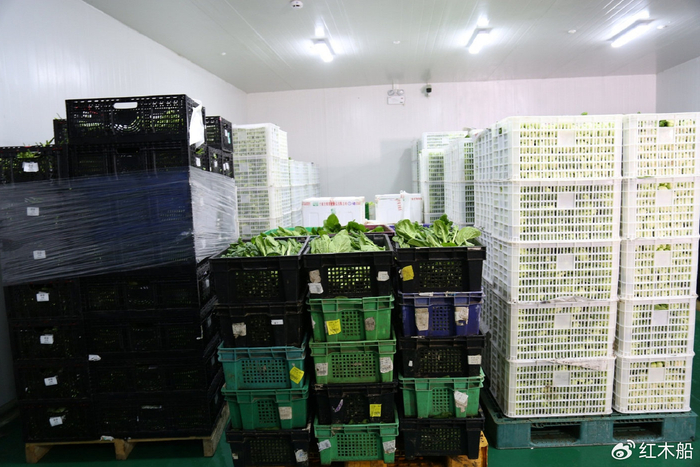 上海沪鑫餐饮:守时为王——食材配送及时性的不容忽