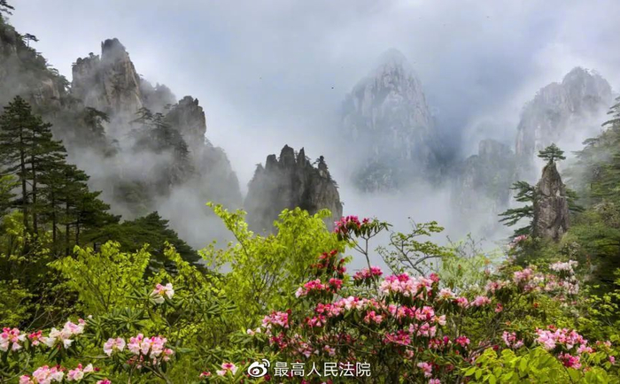 中国法院“二十四节气”——小满·同心守望万顷青绿|二十四节气|法院|迎客松_新浪新闻