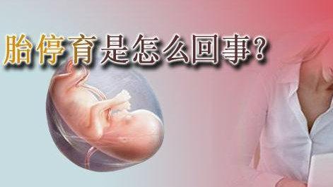 现代社会孕妈胎停育，绝大多数并不是优胜劣汰，而是孕妈的错