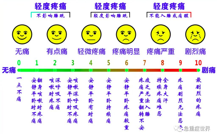 评分最高的十部官场小说 绝对权力这本书好看吗