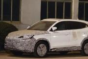 疑似比亚迪海狮路测谍照曝光，竞品对标Model Y 它够资格吗？