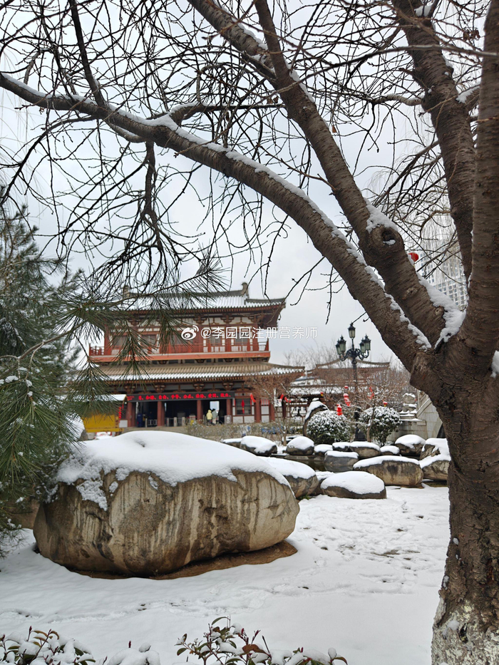 雪中的青龙寺很美