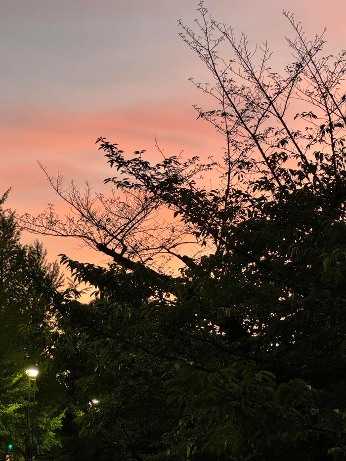 java 数据库对象