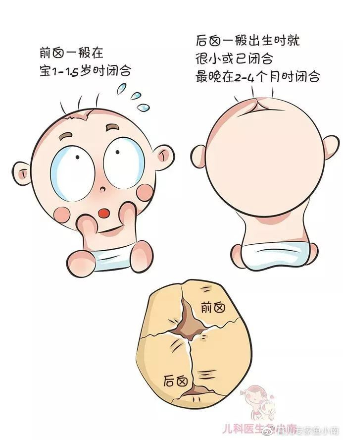宝宝囟门大或小，闭合早或晚会影响大脑发育？了解囟门知识很重要