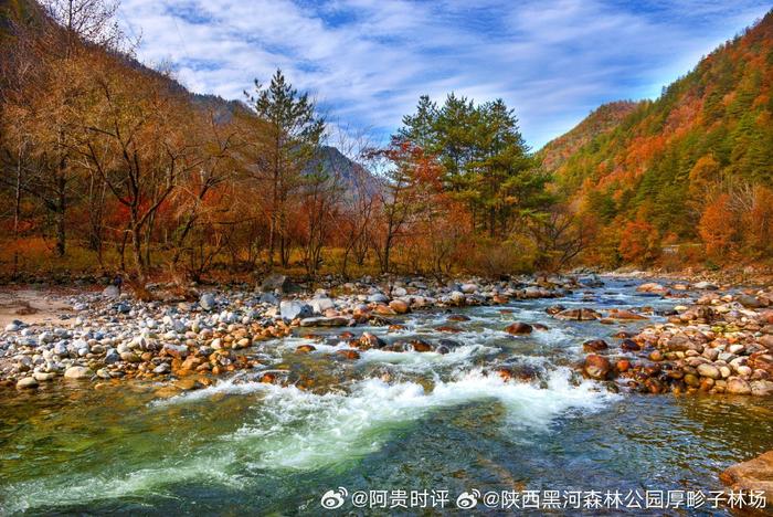 初冬雖將深秋擁入懷中但此時此刻西安黑河國家森林公園