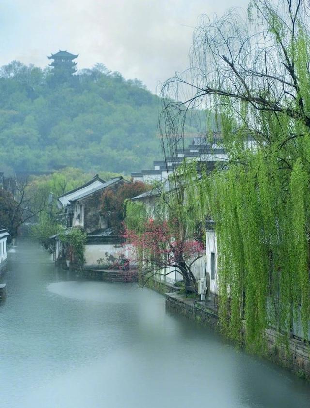 烟雨青丝百尺楼，江南树树拂人头