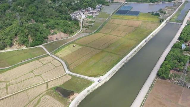罗源起步镇油菜迎来丰收季
