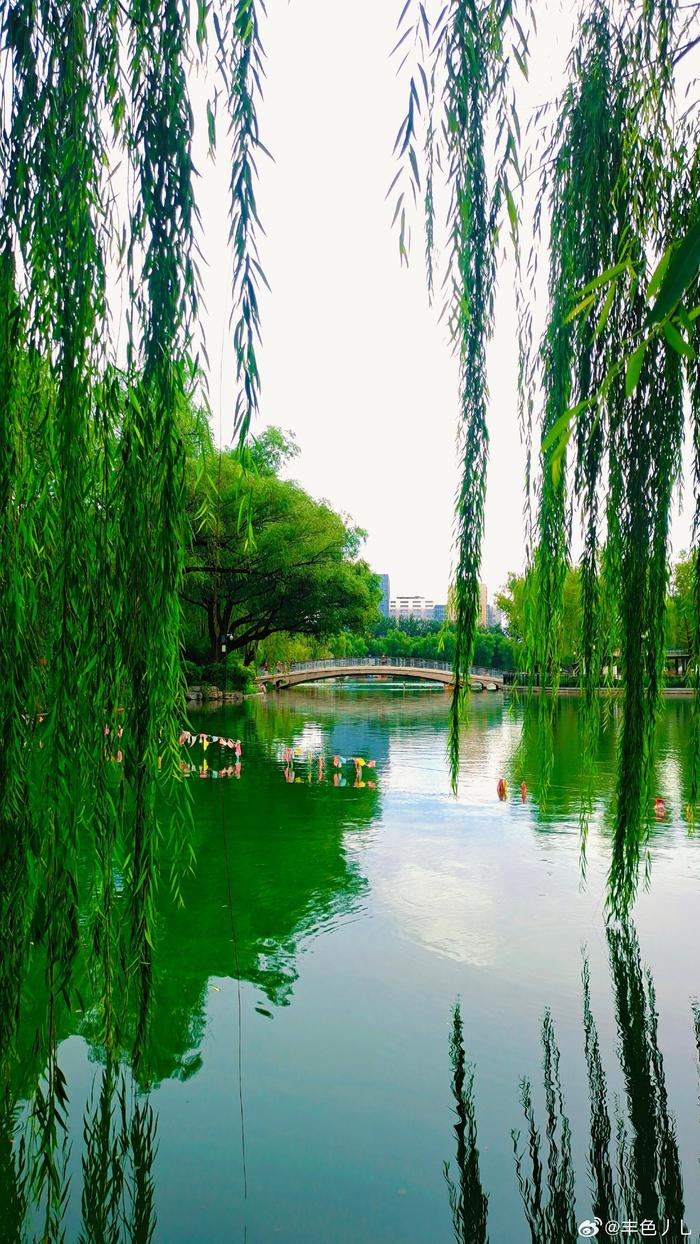 北京青年湖公园的夏 摄影