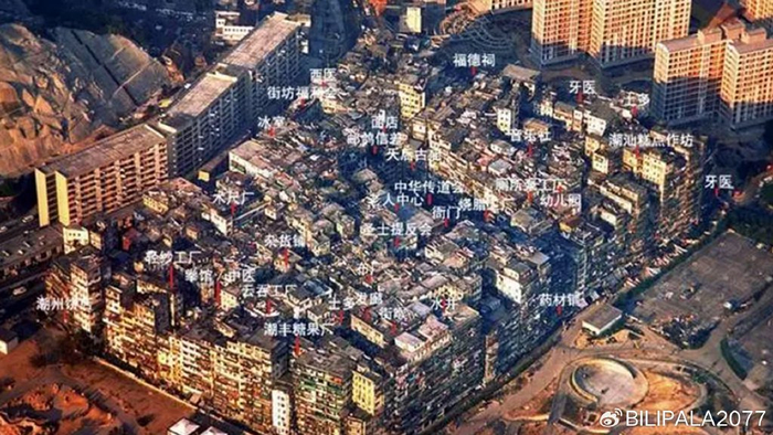 看完这篇文章，就可以去看《九龙城寨之围城》了！|郑保瑞|洪金宝|老板|龙卷风|香港_新浪新闻