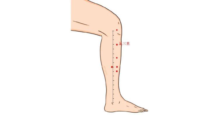 大腿上的经络图图片