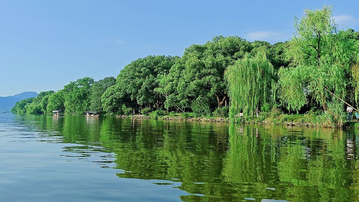 出游随拍,西湖泛舟从湖心看苏堤的美景