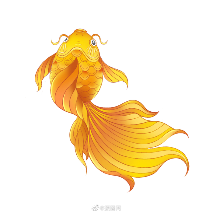 免抠素材|中国风锦鲤手绘插画,转发得好运!