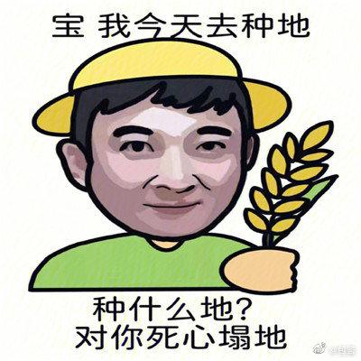 王思聪土味情话表情包图片