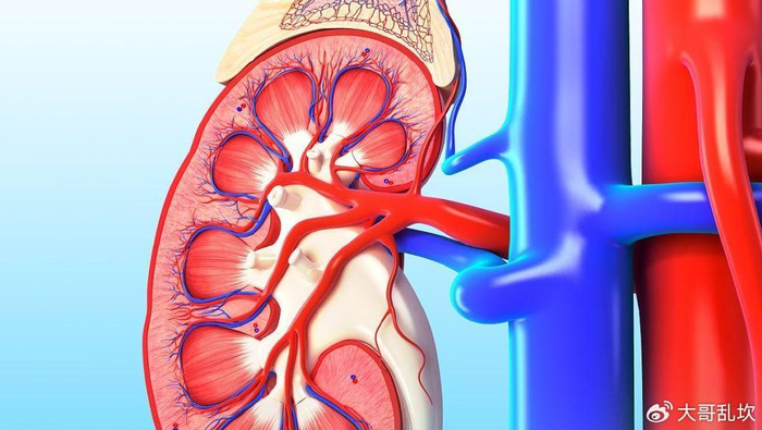 尿毒症是喝出来的?医生直言:即使是铁打的肾,这3种水也要少喝
