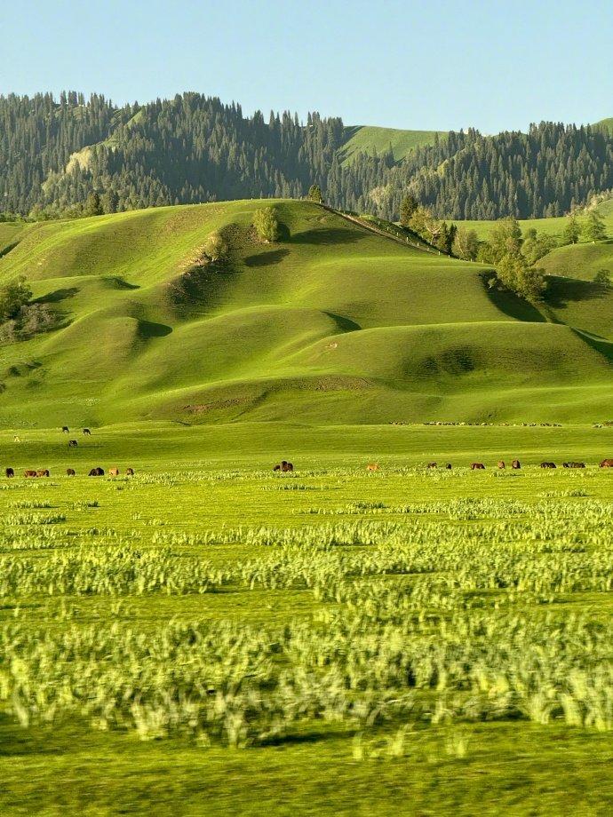 好清新好治愈的大自然风景 美人拍美景