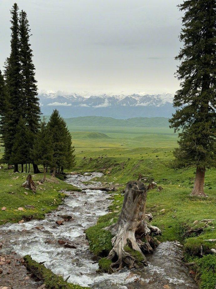 好清新好治愈的大自然风景 美人拍美景