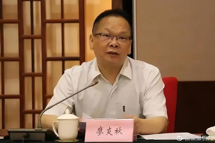 衡阳大老虎廖炎秋这个贪官真不是一般的奇葩