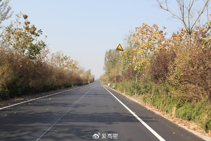 高密市境内s102济青线修复养护工程沥青面层全面完成