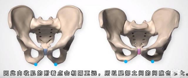 誰會不喜歡翹臀呀今天就教你性感的小翹臀應該怎麼畫