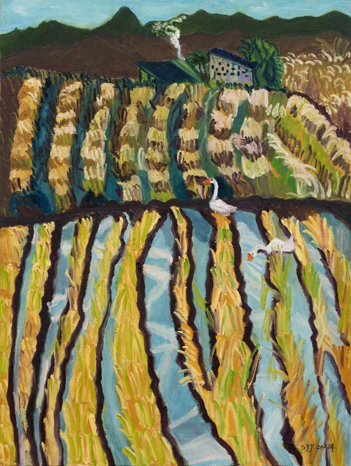 安徽一位家庭主妇,46岁学画画,泼辣生猛|写生|孙瑶瑶|画室_新浪新闻