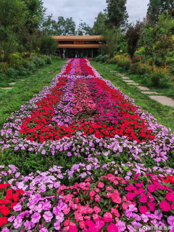 北京花乡二手车市场官网