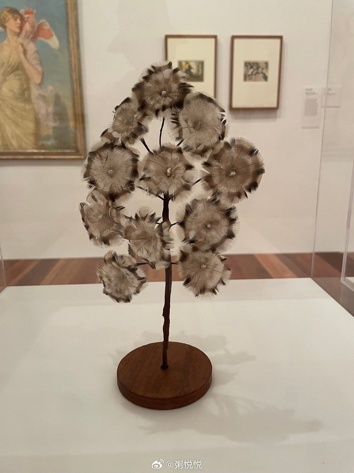 鸡毛花. 一地鸡毛,一束花. 送给大家有钱花