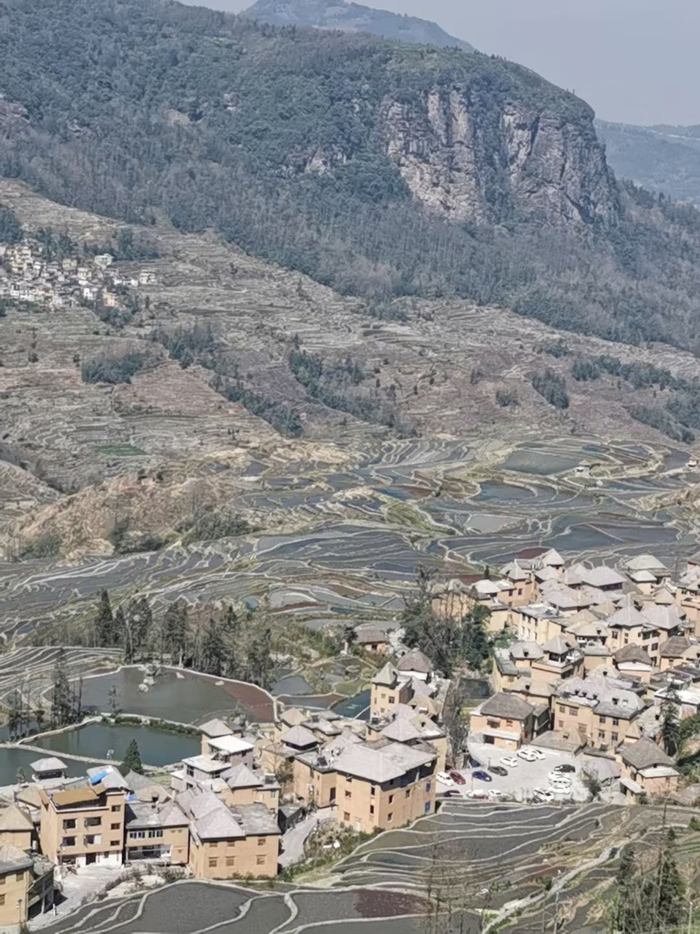 云南元阳梯田冬日景色