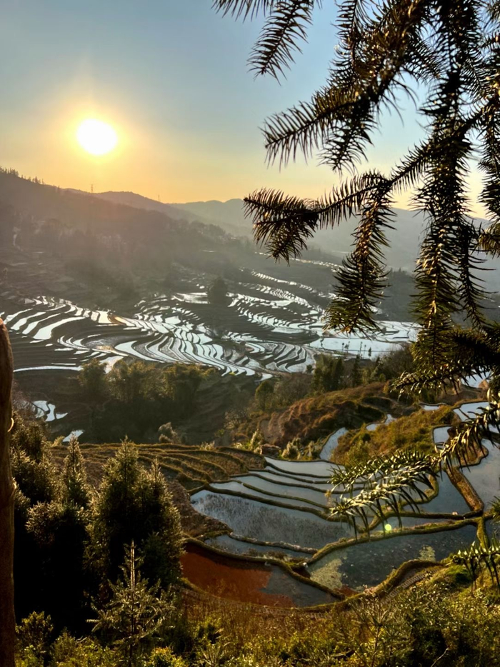 云南元阳梯田冬日景色