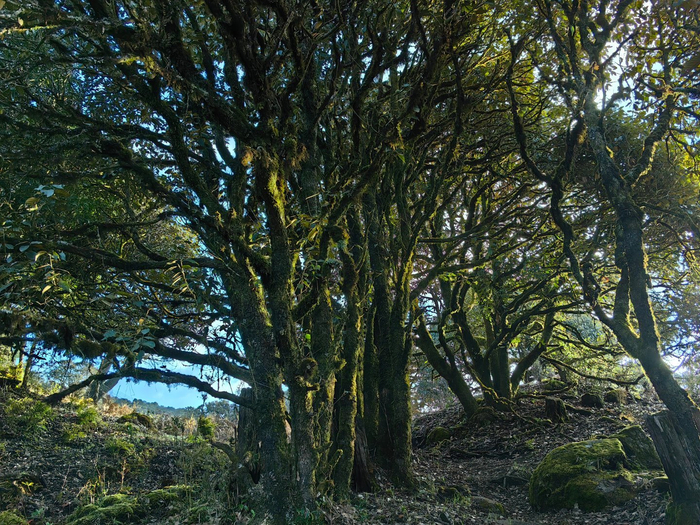 登邦东大雪山,寻雪