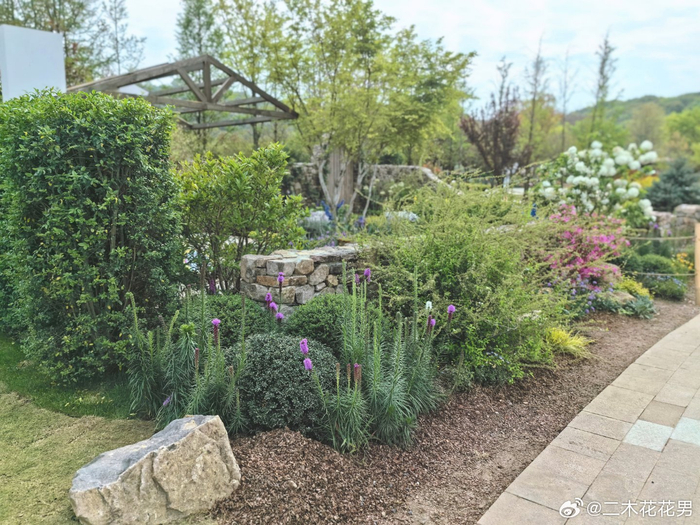 1分钟内我要这个花园所有植物品种清单谁能提供大礼送上