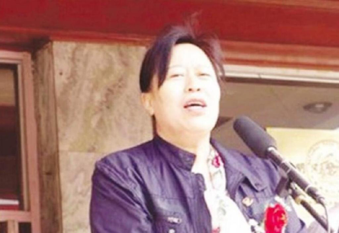 从身家千亿到沦为阶下囚，“高铁一姐”丁书苗，终是被打回了原形