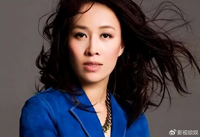 那英懒理刀郎新歌引发的争议继续上综艺赚钱言语雷人素质堪忧