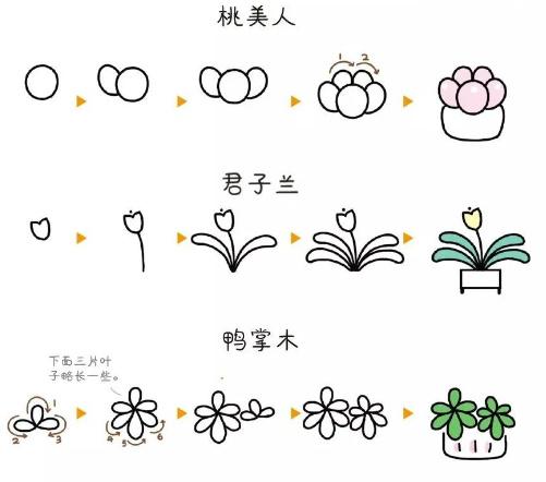 花的100种画法图片