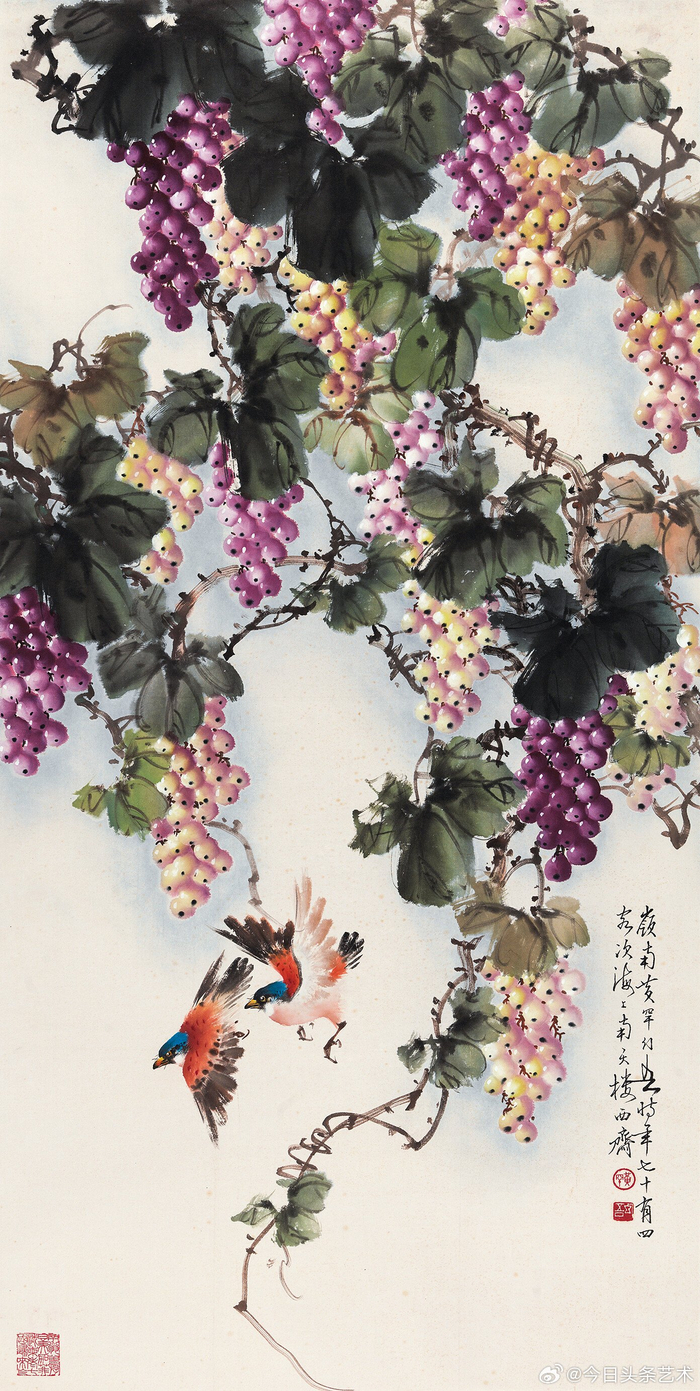 画家黄幻吾笔下的葡萄小鸟