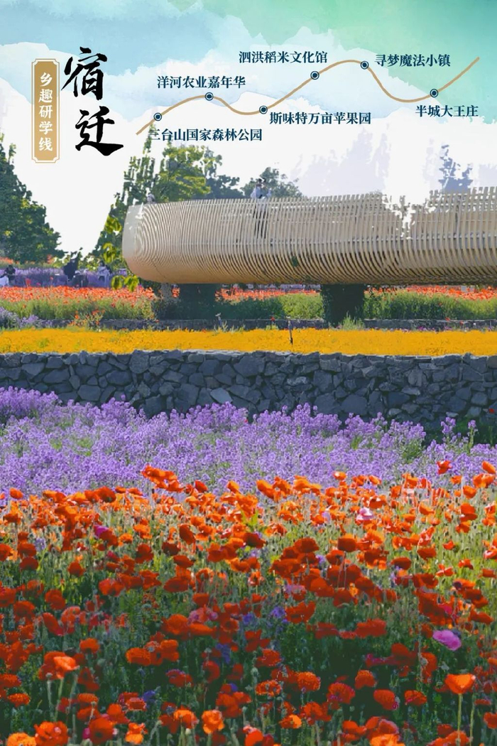 宿迁乡趣研学线路推荐:三台山国家森林公园-洋河农业嘉年华-斯味特