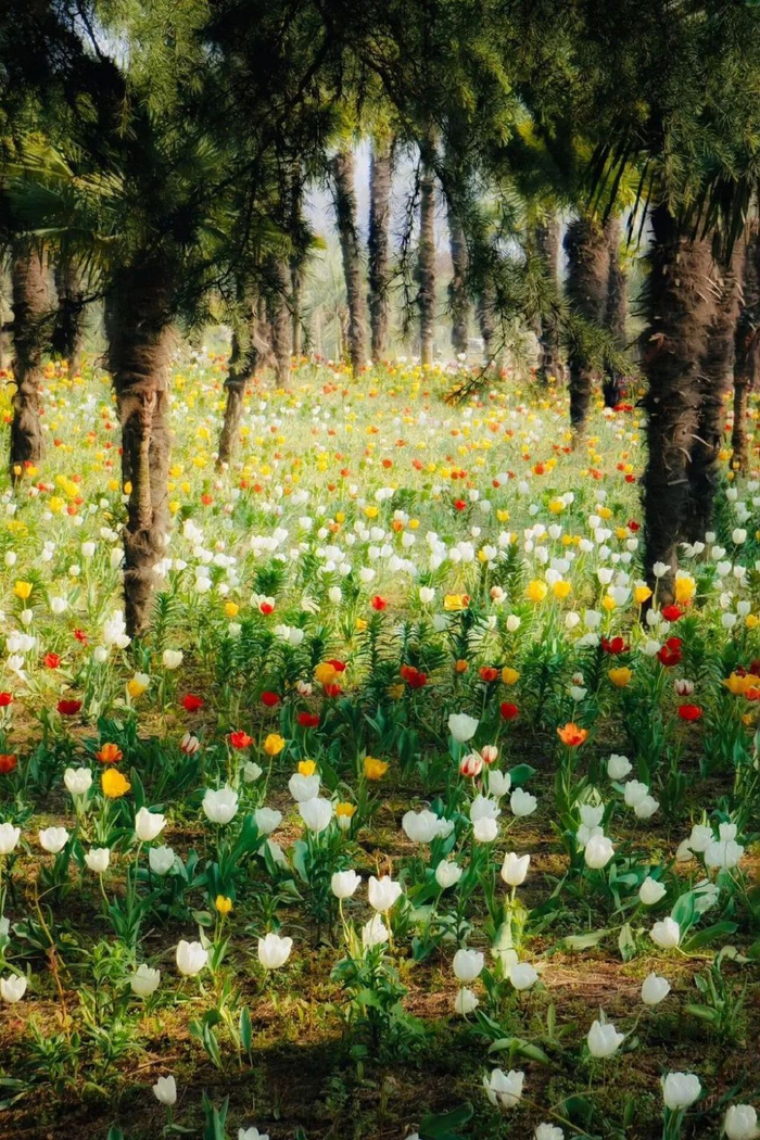 逃离都市到江苏的小乡村逛一逛,看完想去江苏……当村民!