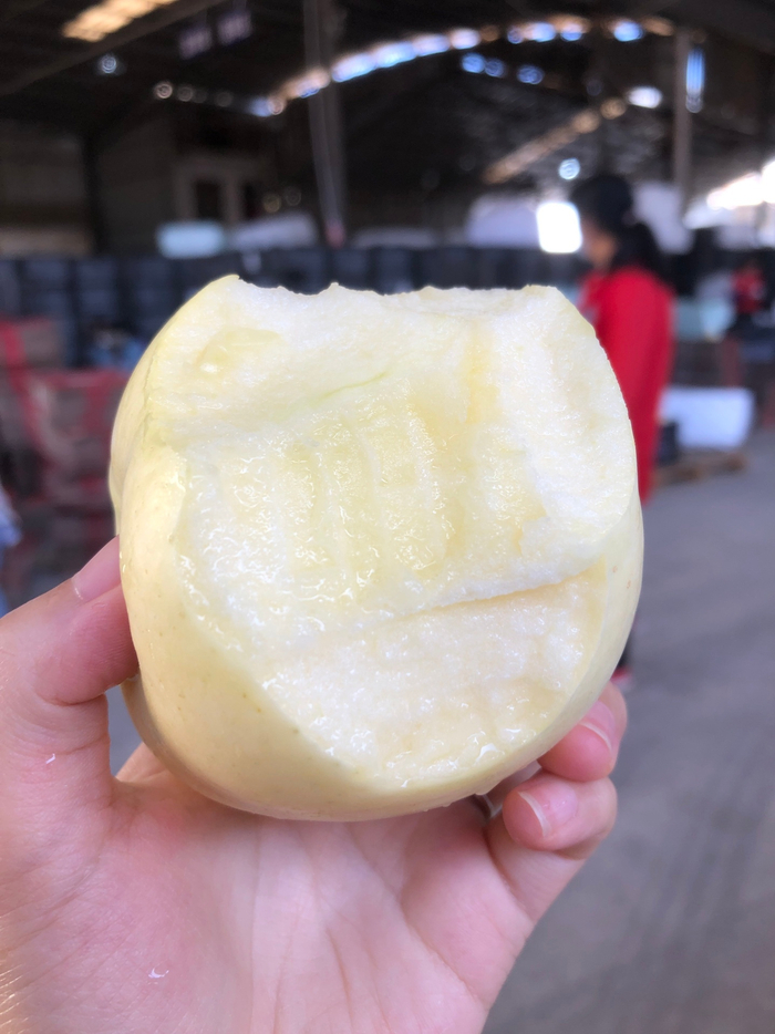 来自山东烟台的奶油富士咬一口有奶香味的苹果超好吃