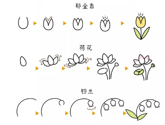 1分钟教会你画花朵,教你如何画出美丽的花朵!