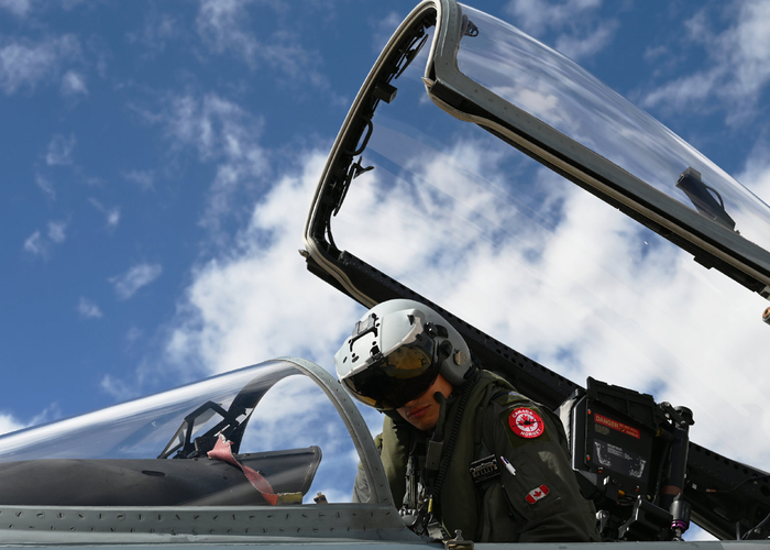 两架隶属于加拿大皇家空军的 cf-18 大黄蜂飞机在美洲狮南部演习滑行