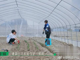 鹭卓卓沅忽悠伯远投资，套路环中环，找自己干活还要付钱