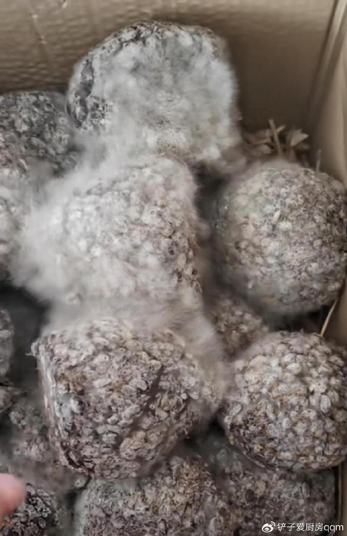 食物发霉长毛了还能不能吃?看上去就害怕,不要轻易尝试.